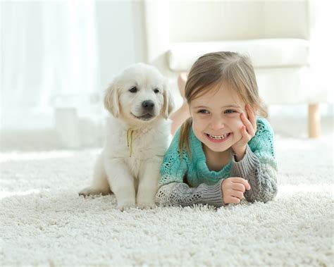 Dogs Improve Social And Emotional Well Being In Children •