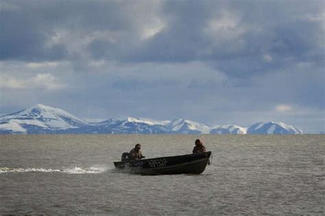 Climate Change Forcing Alaskans To Hunt For New Ways To Survive