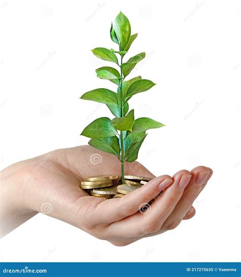Investing Money In Environment Stock Image Image Of Fund Euro 217275635