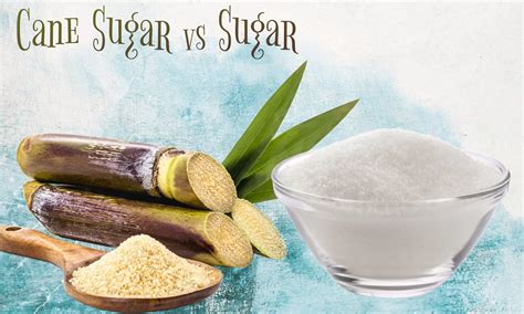 Cane Sugar Vs Sugar Which Is Better The Coconut Mama