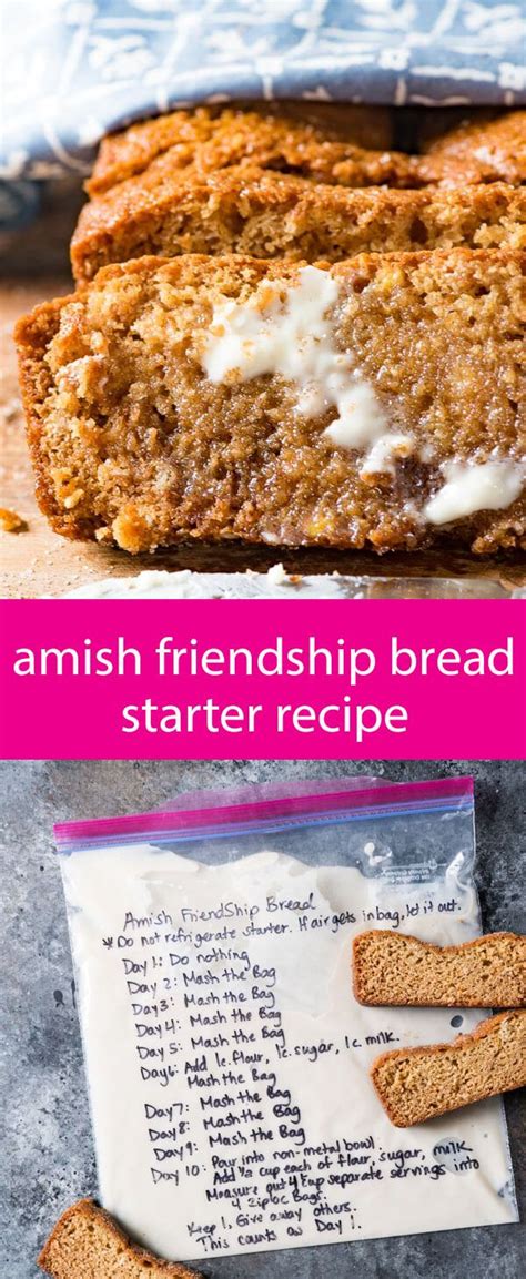 Amish friendship bread starter (paleo)friendship bread kitchen. amish friendship bread starter recipe without yeast