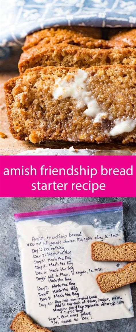 This amish bread starter can be used to make cakes, bread, muffin, and corn fritter recipes! amish friendship bread starter recipe without yeast