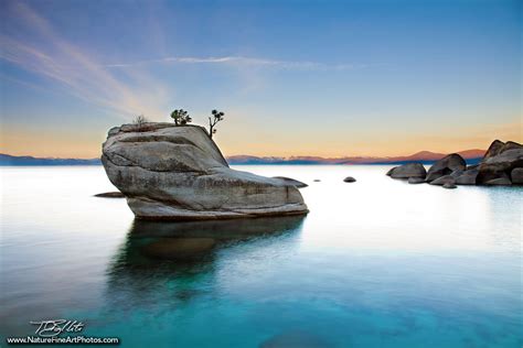 Bonsai Rock Blues Lake Tahoe Nature Photos