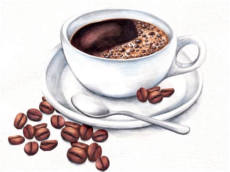 Coffee Illustration By Amanda Dilworth On Dribbble