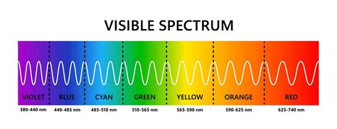 Visible Light Spectrum Optical Light Wavelength Electromagnetic Visible Color Spectrum For