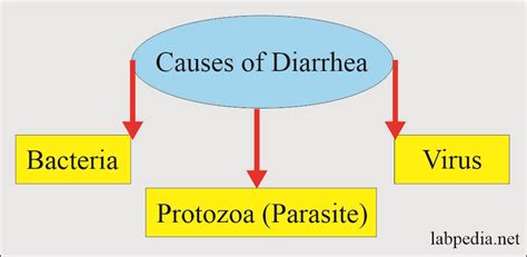 Diarrhea Causative Agents And Diagnosis