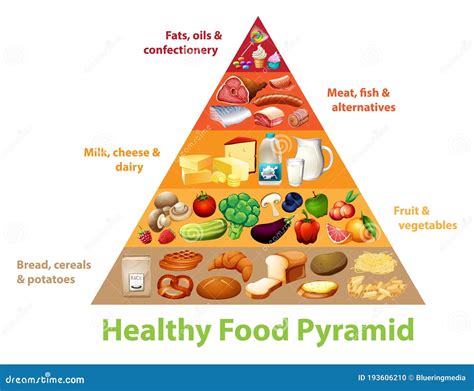 Healthy Food Pyramid Chart Stock Vector Illustration Of Science