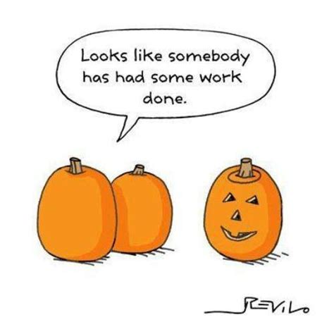 Pumpkin Humor Halloween Jokes Fall Humor Halloween Quotes