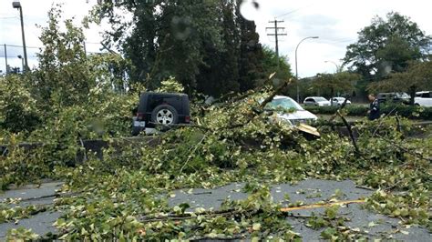 Massive Metro Vancouver Storm Leads To Power Outages Fallen Trees