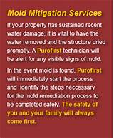Mold Mitigation Services Images