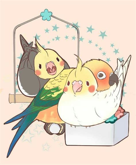 Awso Sweet I Wish My Birds Would Get Along With Each Other Like