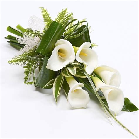 Calla Lily Sheaf White Rowland Brothers Shop