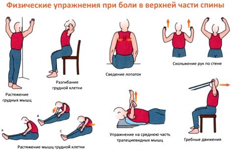 Упражнения для профилактики болей в спине ­ Дневник ­ Максим Боголепов
