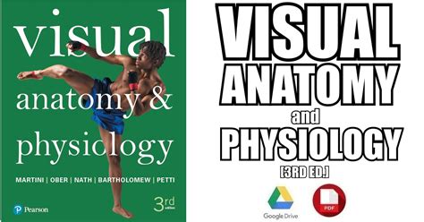 Third Week Of Development Boundless Anatomy And Physiology