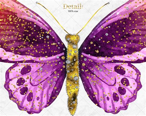 15 Butterflies Clipart Glitter Butterfly Clip Art Rainbow Etsy
