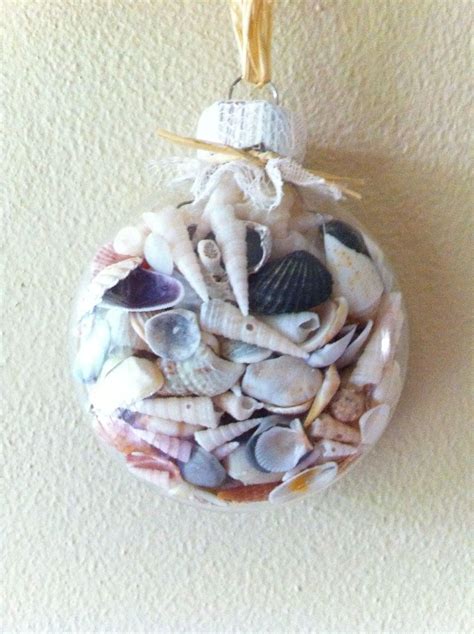 Creative Way To Display Collected Seashells From Vacations DIY Beach