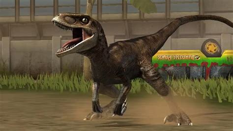 Jurassic World The Game Velociraptor Youtube