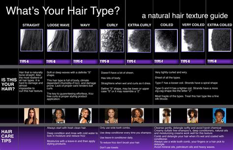 Types of natural hair guide. What's my curl pattern? and how do I choose the right ...