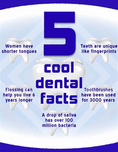 Facts Dental Cool Health Oral Teeth Dentist