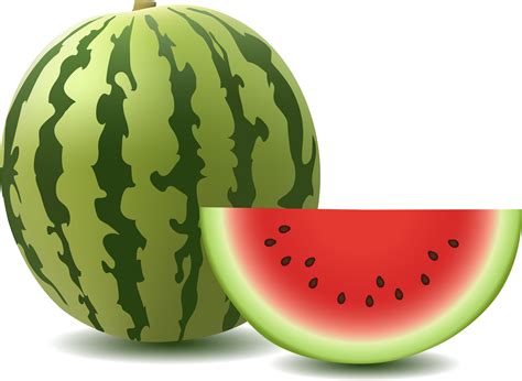 Watermelon Clipart Png Picpng