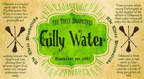 Gilly Water Large Printable Label 105 X 575 Etsy