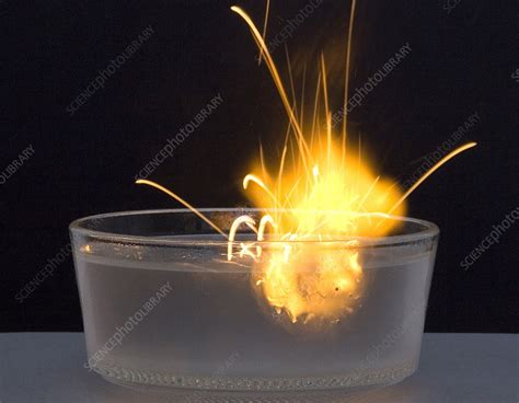 Metallic Sodium Reacts with Water - Stock Image - C028/1237 - Science ...