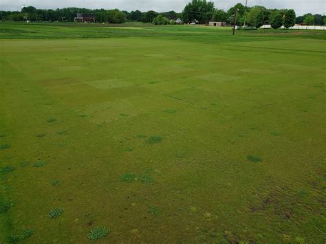 Evaluating Fine Fescues For Golf Greens In Cold Climates Low Input Turf