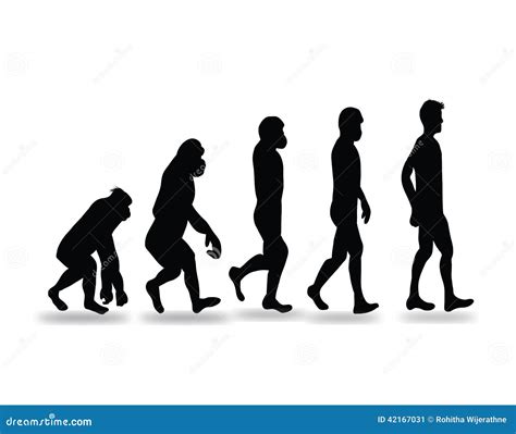 Imagem De Stock Human Evolution Icon Imagem 42167031
