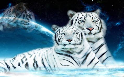50 Tiger Live Wallpaper