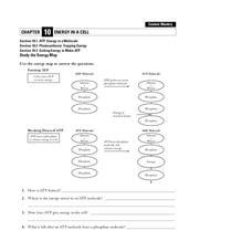 Atp/adp Lesson Plans & Worksheets Reviewed by Teachers