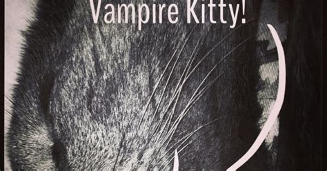 The Joe And Jill Chronicles Vampire Kitty