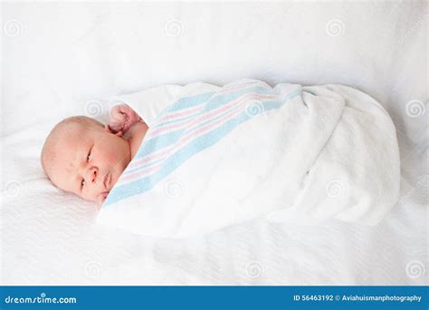 Infant Baby Swaddled In Hospital Blanket Stock Photo Image 56463192