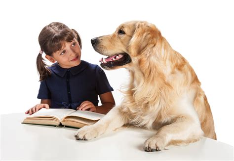 Books And Reading Canine Program