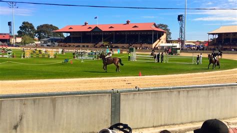 Horses At The Royal Adelaide Show Youtube