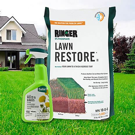 Now that the weather is warm, it's the perfect time to tend to your lawn. Organic Pet friendly Weed & Grass Killer | Safer Brand 5055-6