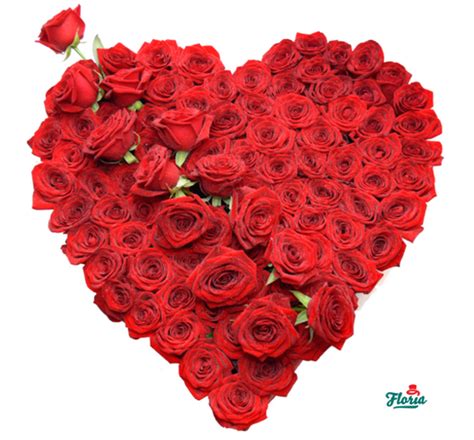 Livrarea de flori de 8 martie in bucuresti, este asigurata cu felicitare si un mic. 8 Martie - Flori, ciocolata sau cina in oras? Ce isi ...