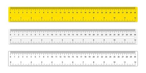 vector color school rulers  centimeters  inches set