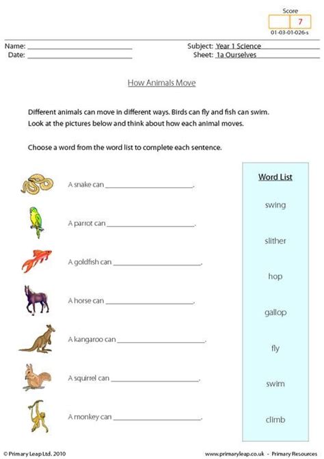 1st Grade Animal Movement Worksheet