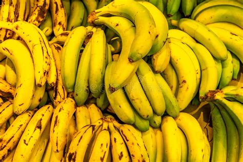 Yellow And Green Bananas As A Background Stock Photo Image Of Pattern