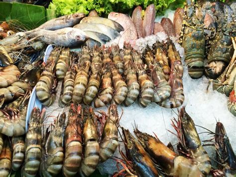 Shrimp Fish Prawns Seafood Market With Ice Stock Photo Image Of