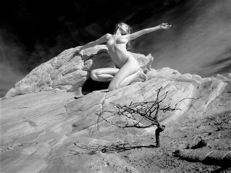 Desert Nude With Tree Photograph By Chris Maher