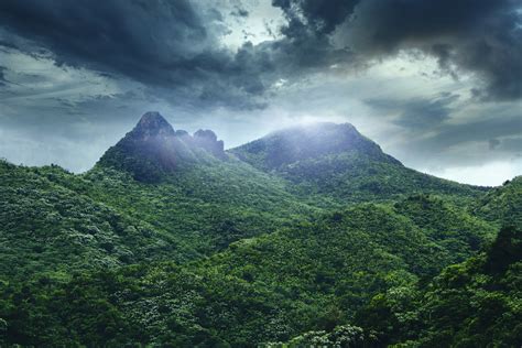 Bosque Nacional Del Yunque Un Tesoro Natural En Puerto Rico Me Gusta