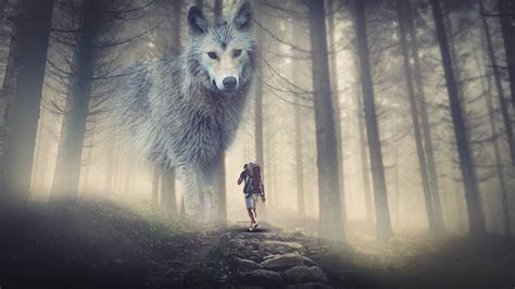 The Wolf Photoshop Manipulation By Picture Fun Baponcreationz