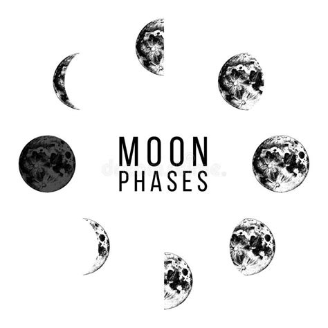 Moon Phases Icons Whole Cycle From New Moon To Full Moon Stock Vector