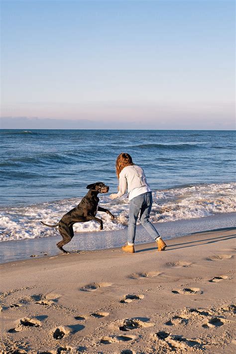 Woman Playing With Her Dog The Beach By Stocksy Contributor Danil