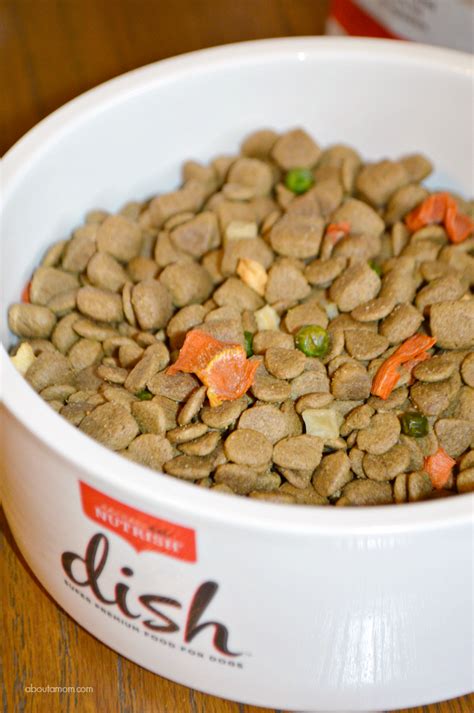 What is the best limited ingredient dog food? A Rachael Ray DISH for Both You and Your Dog - About A Mom