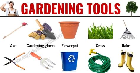 Gardening Tools: List of 30 Useful Tools Names for Gardening - English gambar png