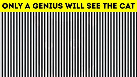 Optical Illusions Brain Teasers Puzzles
