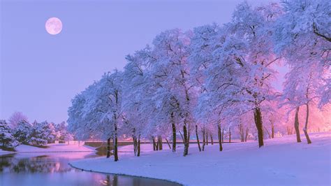 Wallpaper Beautiful Winter Snow Trees River Moon Dusk