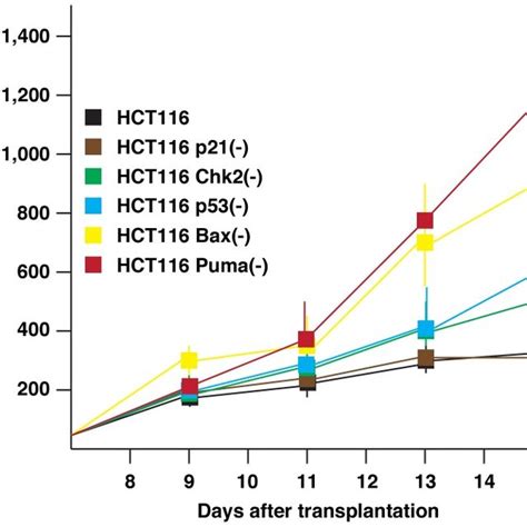 Indicated HCT116 Cells 5106 Cells Were Transplanted Into Nude Mice
